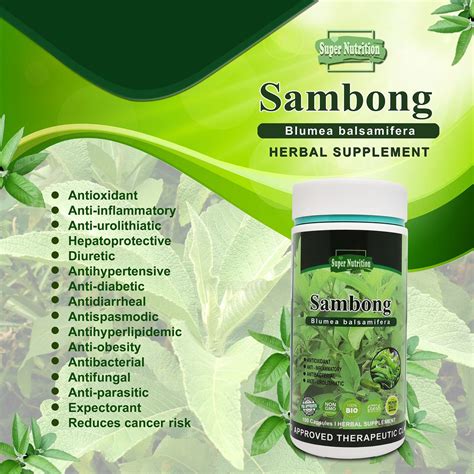 sambong plant for sale|sambong herbal medicine.